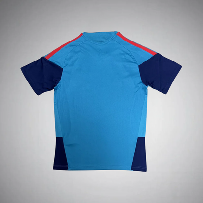 26-27 Spain Blue Training Kit