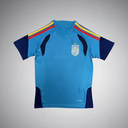 26-27 Spain Blue Training Kit